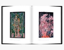 Load image into Gallery viewer, New Malaysian Paintings